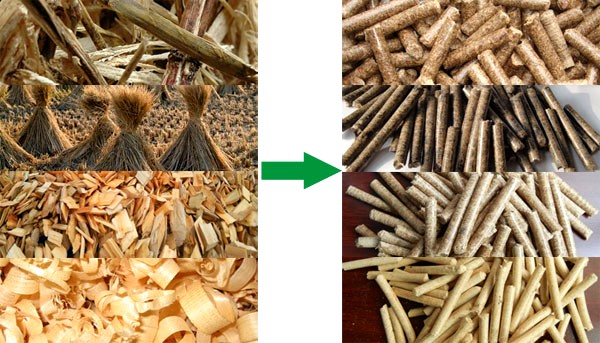 Raw Materials and Finished Products of Wood Shavings Pellet Mill